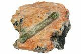 Huge, Apatite Crystals in Orange Calcite - Yates Mine, Quebec #152176-5